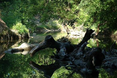 Spring Creek Preserve