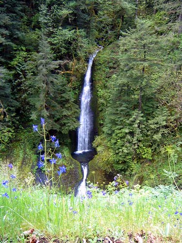 Loowit Falls with Larkspur