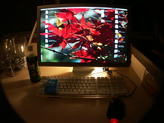 My desktop.