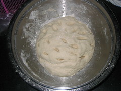 Proven dough