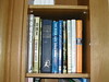 Middle shelf