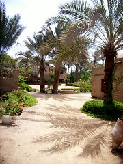 The gardens at Wissa Wassef