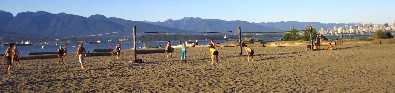 volleyball small-tld