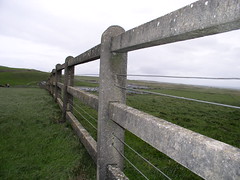 Fence Detail