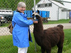 mim with llama