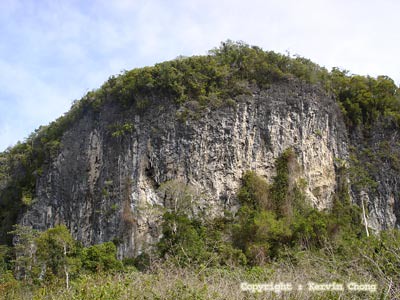 Limestone-hill
