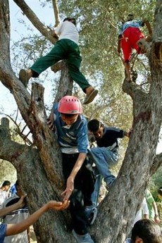 tree_climbers